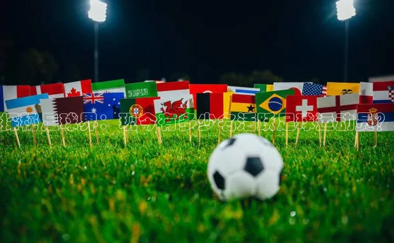 6688体育app注册京东探秘足球界：现今有多少名活跃足球运动员？