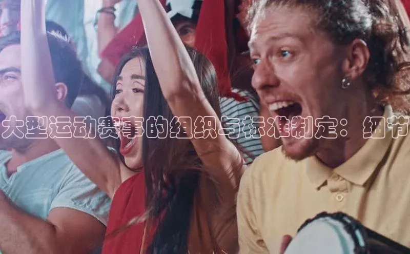 6688体育app官方网站百度翻译App大型运动赛事的组织与标准制定：细节