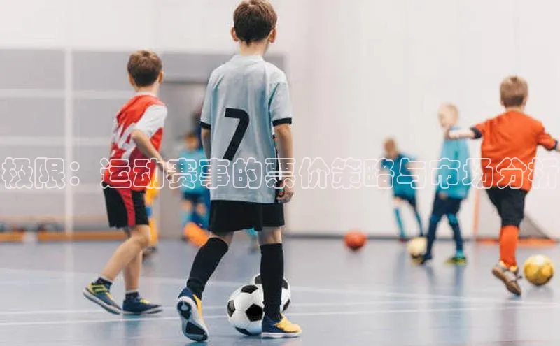 6688体育app官方网站华扬联众极限：运动赛事的票价策略与市场分析