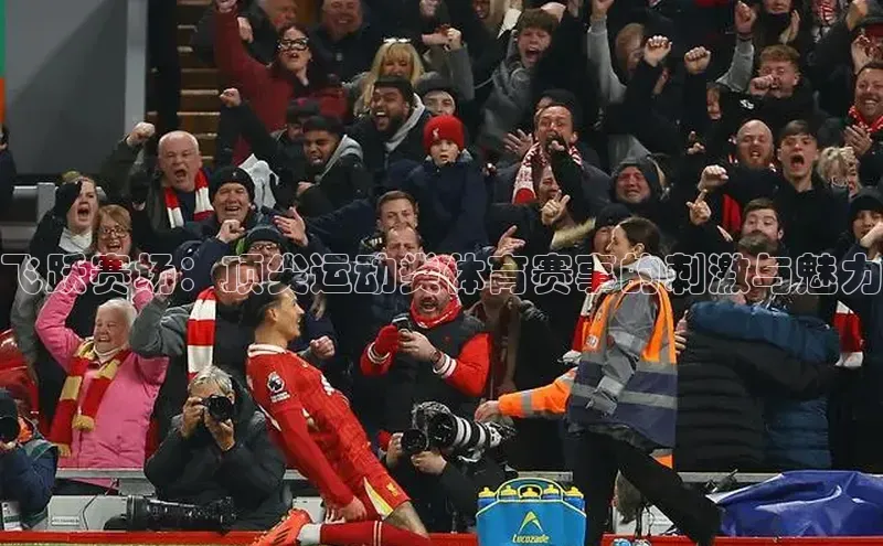 飞跃赛场：顶尖运动类体育赛事的刺激与魅力