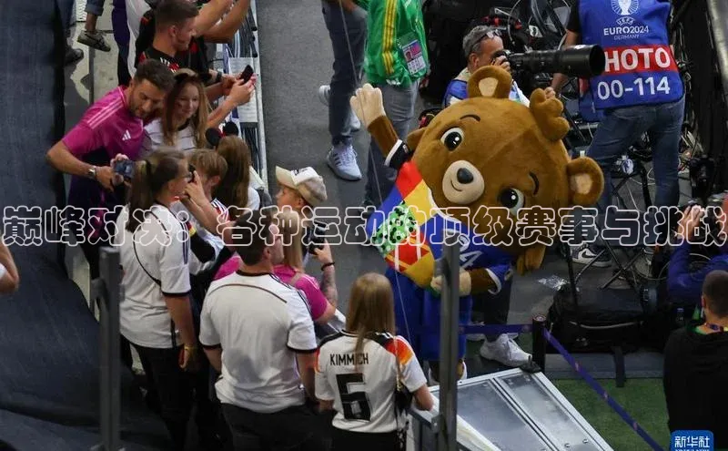 巅峰对决：各种运动的顶级赛事与挑战