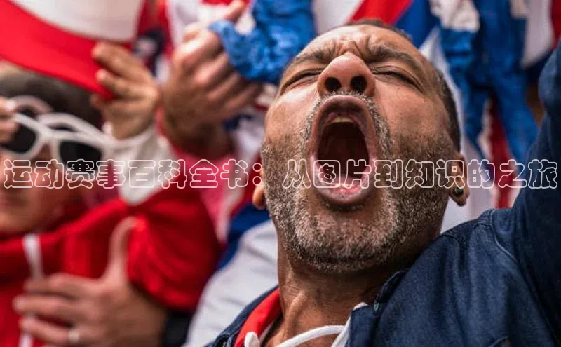 运动赛事百科全书：从图片到知识的之旅