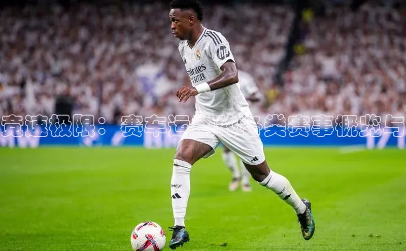 竞速极限：赛车运动的各类赛事概览与