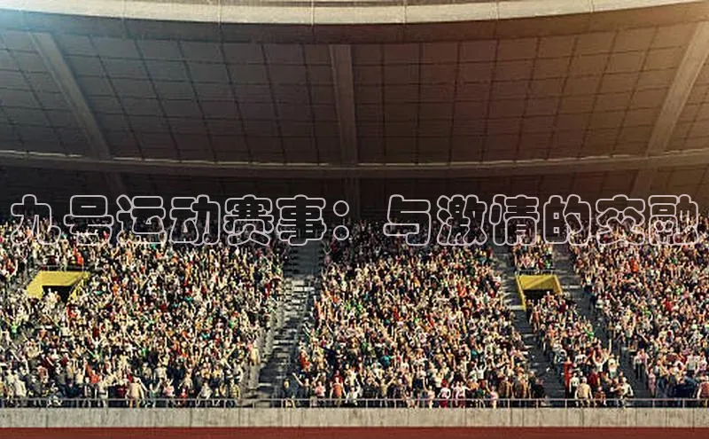 九号运动赛事：与激情的交融