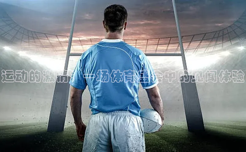 运动的激情：一场体育盛会中的见闻体验
