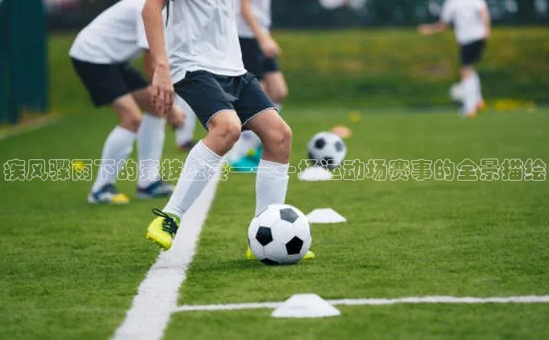 疾风骤雨下的竞技盛宴——一场运动场赛事的全景描绘