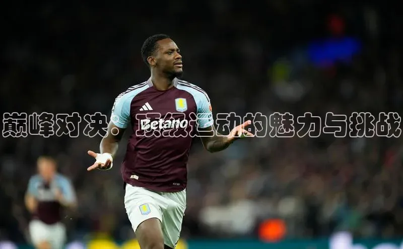 巅峰对决：顶级运动的魅力与挑战