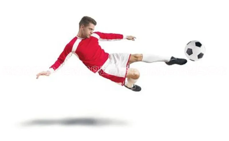 迁徙的旋律：探讨候鸟运动会中自然界的智慧与艺术