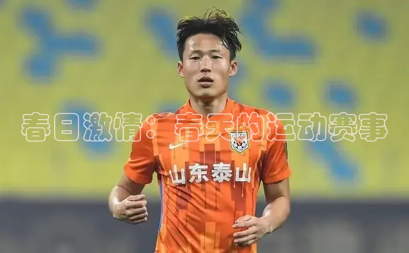 6688体育官网入口网址