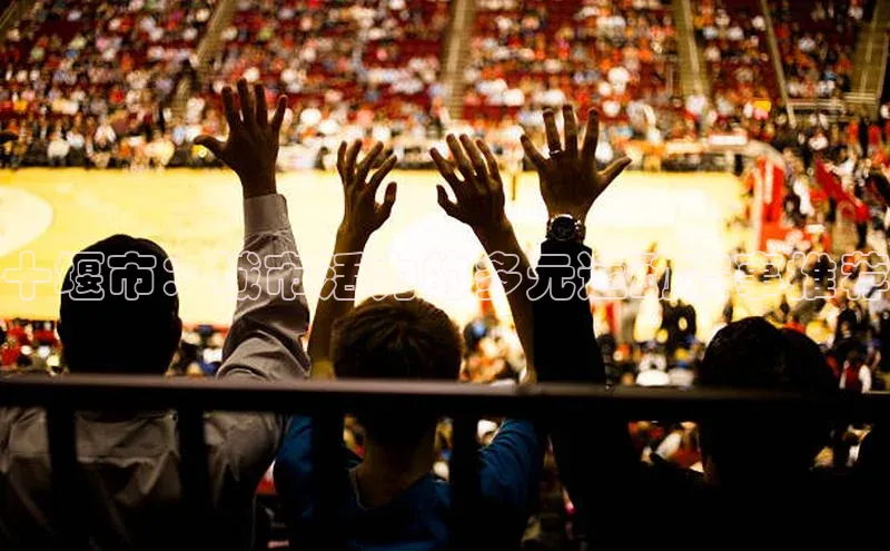 6688体育app下载安装