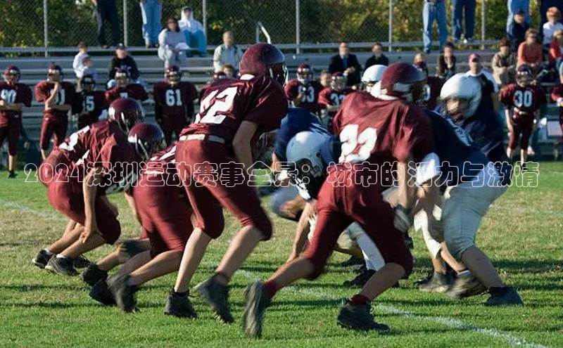 6688体育网络平台