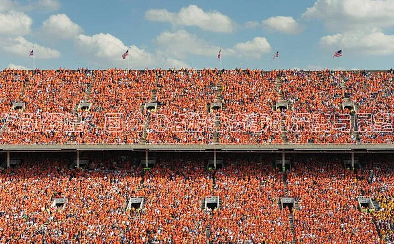 泳动辉煌：国外知名游泳赛事的深度与展望