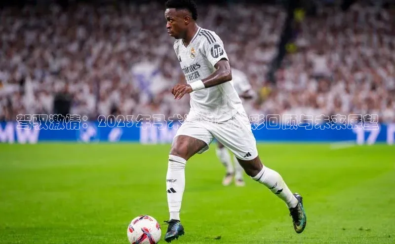 驾驭激情：2023年马术运动会精彩回顾与未来展望