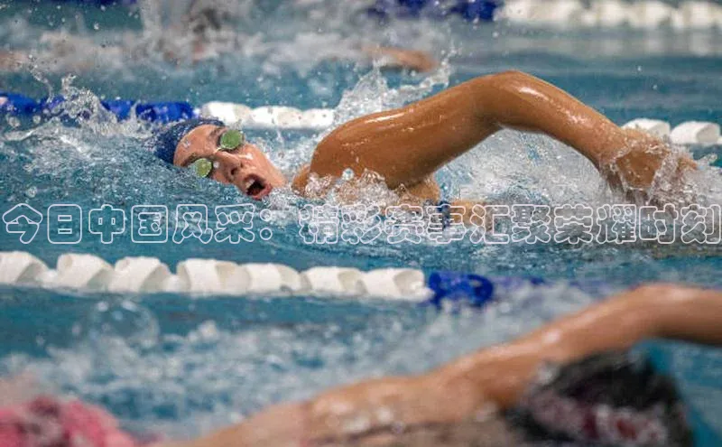 今日中国风采：精彩赛事汇聚荣耀时刻